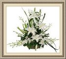 Flowers Inc/Wholesale, 2159 W Broad St, Athens, GA 30606, (706)_549-9888